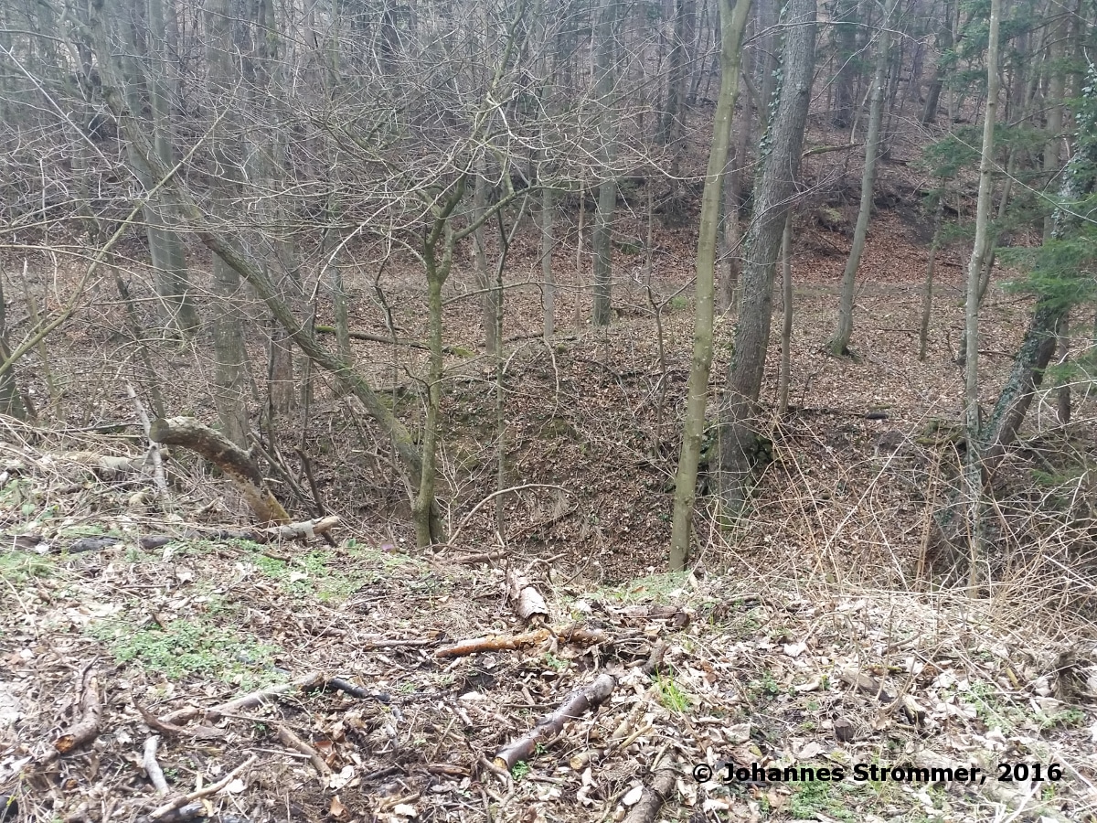 Waldbahn Haselbach: Der Bahndamm der 150 m langen Seitenlinie von der Forststraße aus gesehen.