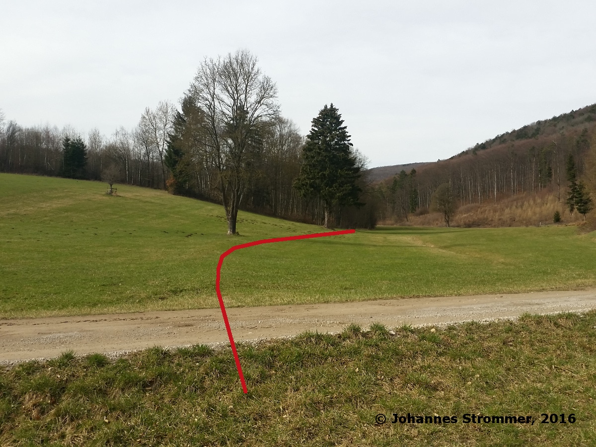 Waldbahn Haselbach: Die Trasse verläuft über eine Wiese, bei genauem Hinsehen ist der Bahndamm noch erkennbar. Blickrichtung Streckenende.