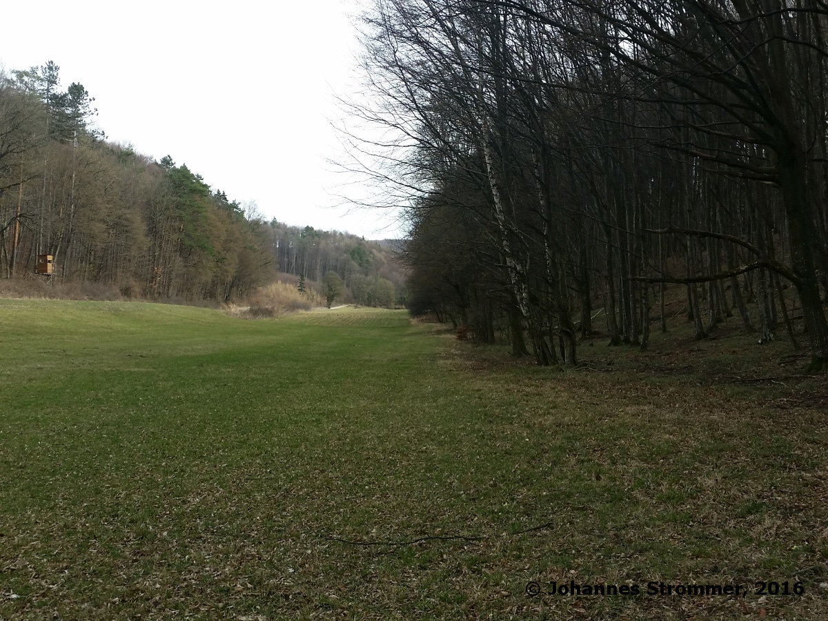 Waldbahn Haselbach: Die Strecke verläuft hier entlang eines Waldrandes. Blickrichtung Streckenanfang.