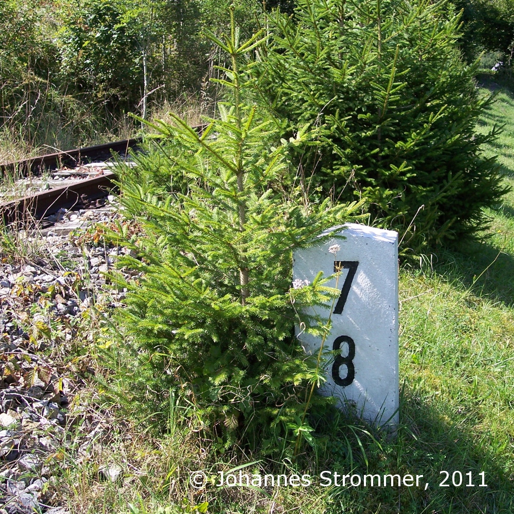Hektometerstein an der eingestellten Bahn­strecke Freiland - Türnitz (2011)